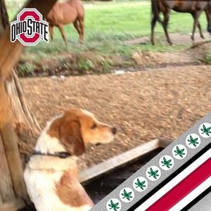 Meet your Posher, Rebie